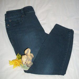 TORRID 22R Blue Straight Leg Jeggings Stretch Jeans Inseam 26.5"